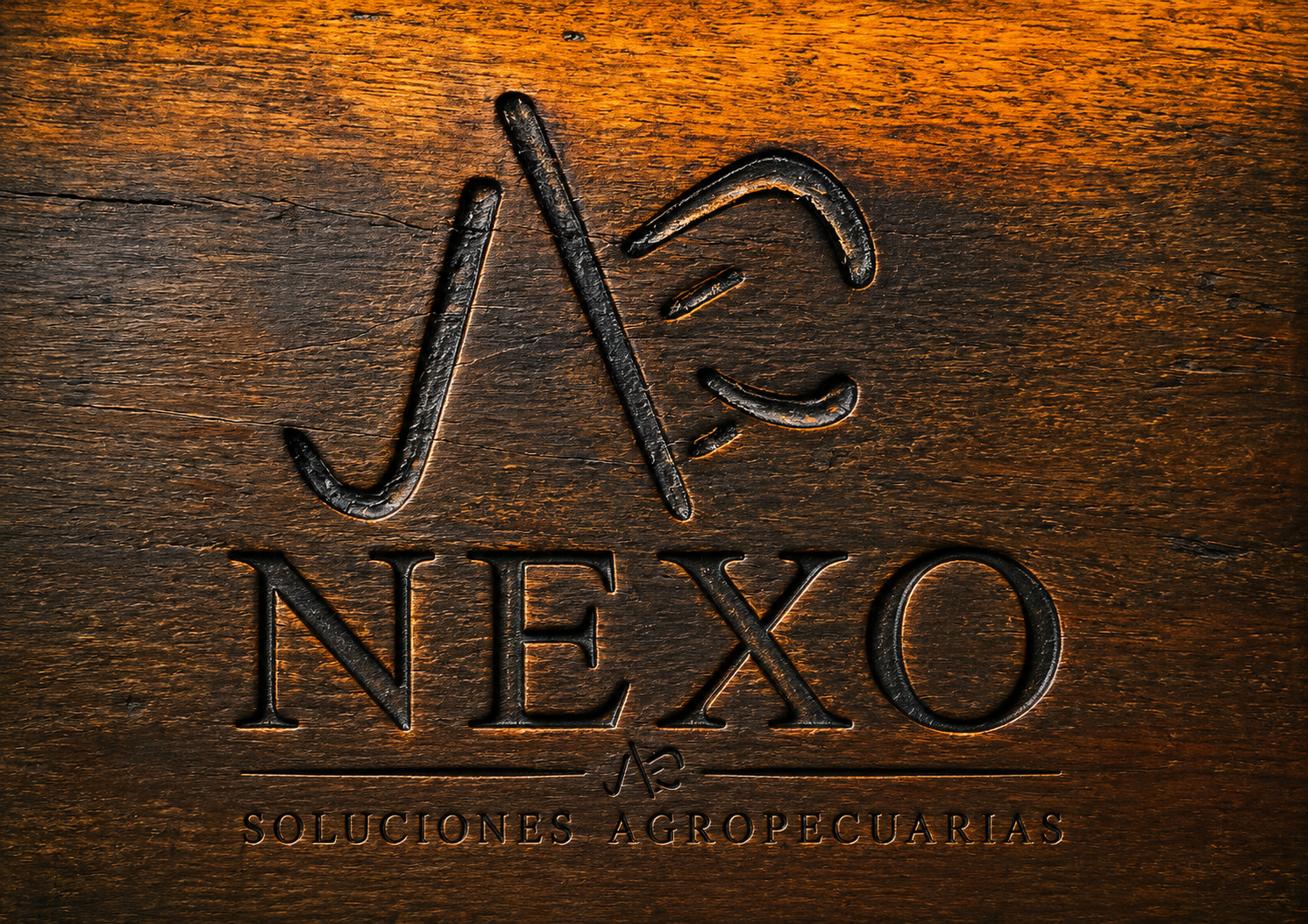 Nexo Soluciones